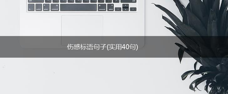 伤感标语句子(实用40句),第1张