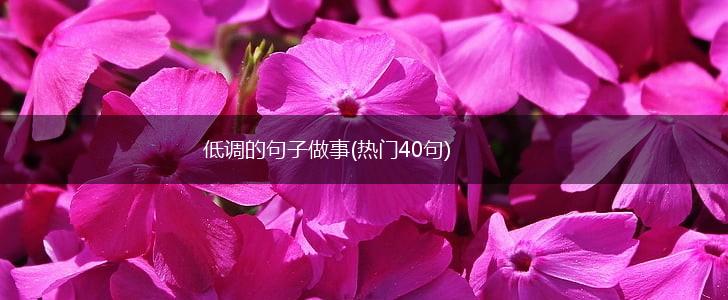 低调的句子做事(热门40句),第1张