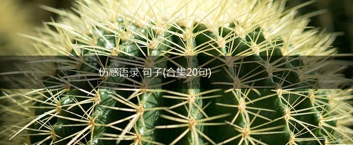 伤感语录 句子(合集20句),第1张