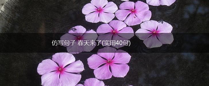 仿写句子 春天来了(实用40句),第1张