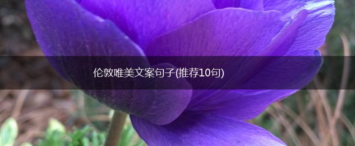 伦敦唯美文案句子(推荐10句),第1张