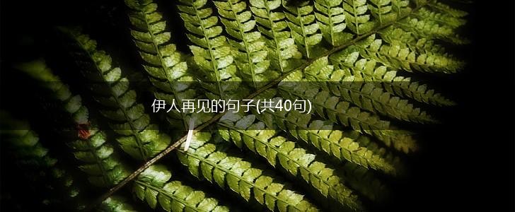 伊人再见的句子(共40句),第1张