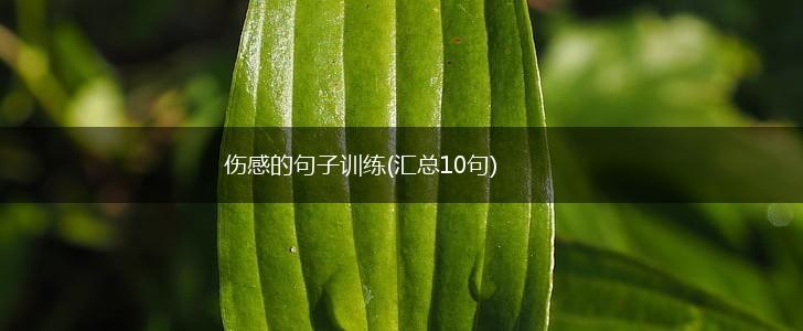 伤感的句子训练(汇总10句),第1张