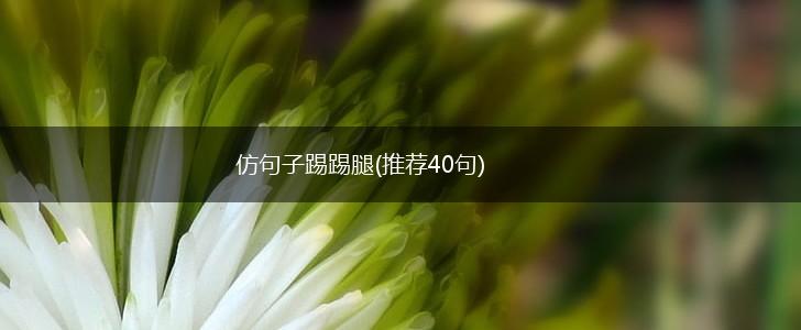 仿句子踢踢腿(推荐40句),第1张