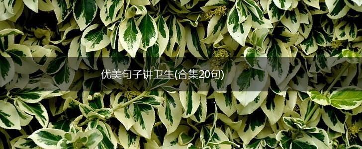 优美句子讲卫生(合集20句),第1张