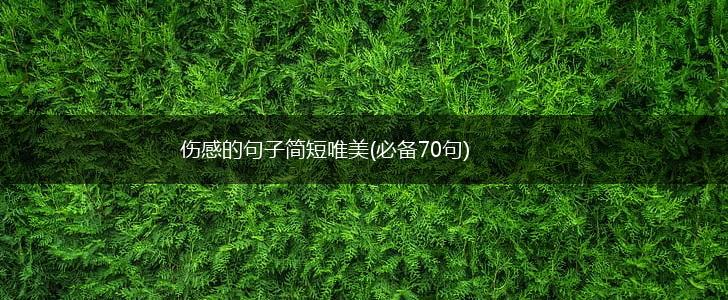伤感的句子简短唯美(必备70句),第1张