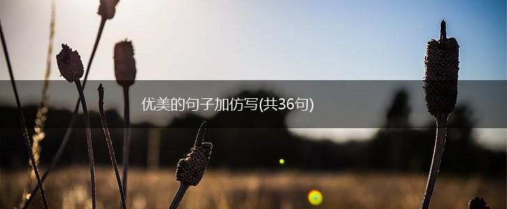 优美的句子加仿写(共36句),第1张