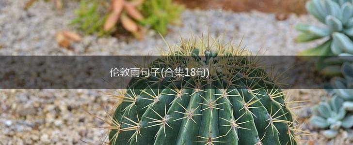 伦敦雨句子(合集18句),第1张