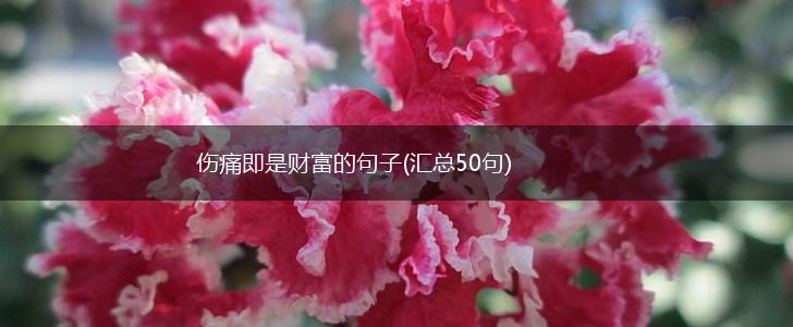 伤痛即是财富的句子(汇总50句),第1张