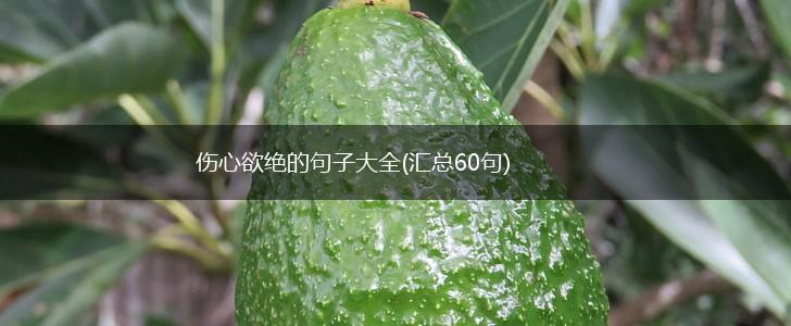 伤心欲绝的句子大全(汇总60句),第1张