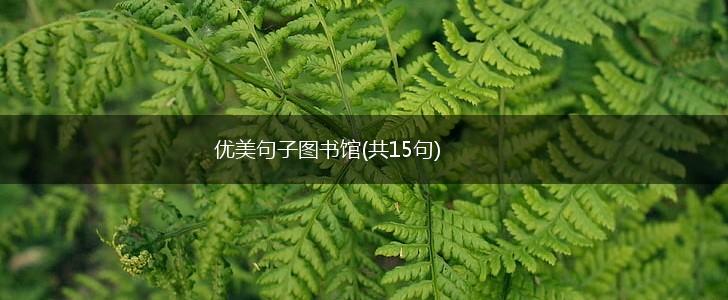 优美句子图书馆(共15句),第1张