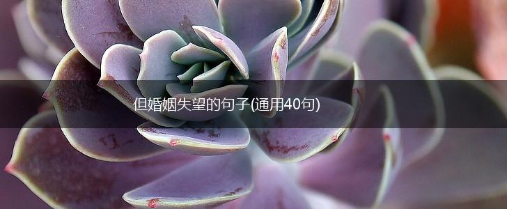 但婚姻失望的句子(通用40句),第1张