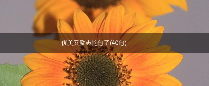 优美又励志的句子(40句),第1张