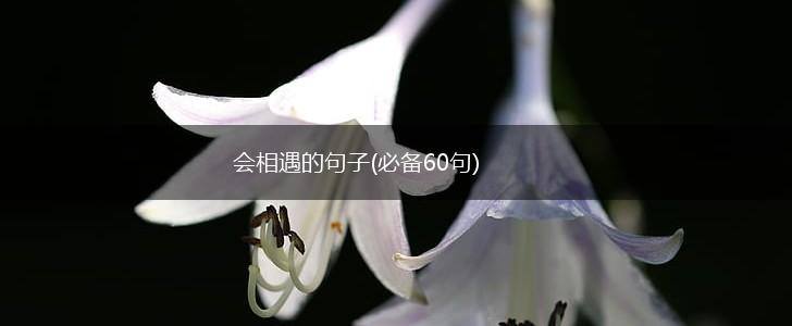 会相遇的句子(必备60句),第1张