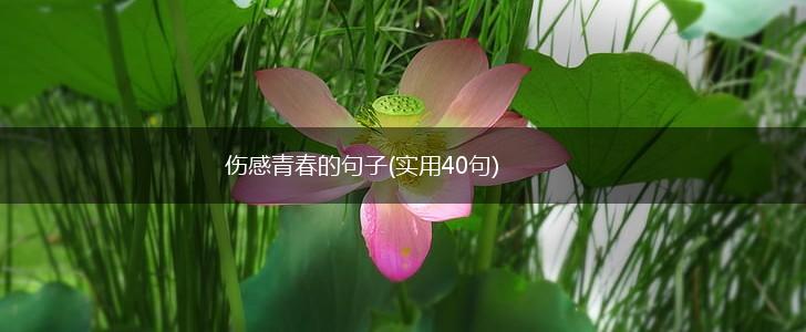 伤感青春的句子(实用40句),第1张