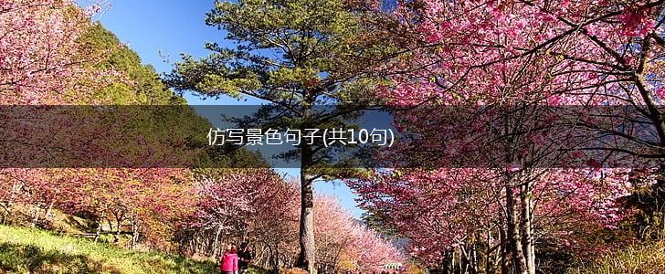 仿写景色句子(共10句),第1张
