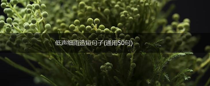 低声细雨造短句子(通用50句),第1张
