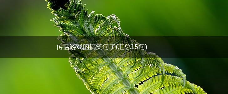 传话游戏的搞笑句子(汇总15句),第1张