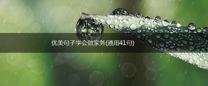 优美句子学会做家务(通用41句),第1张
