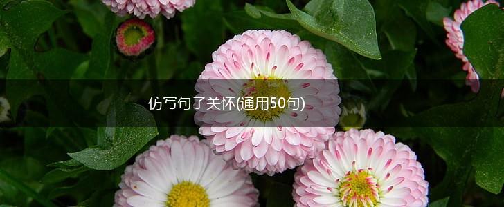 仿写句子关怀(通用50句),第1张
