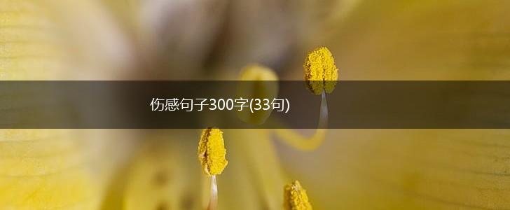 伤感句子300字(33句),第1张