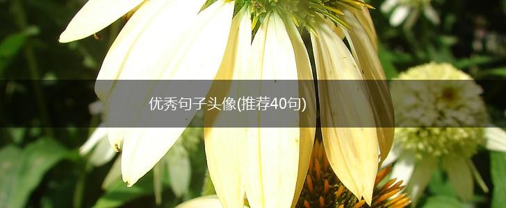 优秀句子头像(推荐40句),第1张