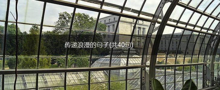 传递浪漫的句子(共40句),第1张