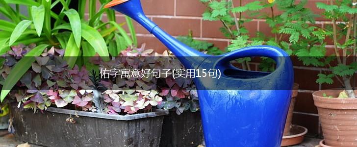 佑字寓意好句子(实用15句),第1张