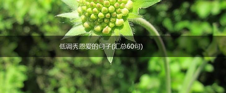 低调秀恩爱的句子(汇总60句),第1张