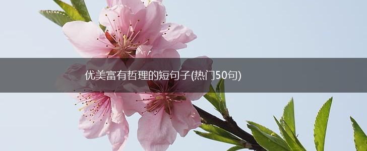 优美富有哲理的短句子(热门50句),第1张