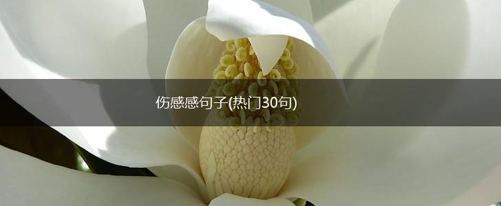 伤感感句子(热门30句),第1张