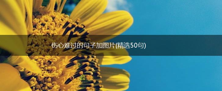 伤心难过的句子加图片(精选50句),第1张