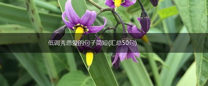 低调秀恩爱的句子简短(汇总50句),第1张