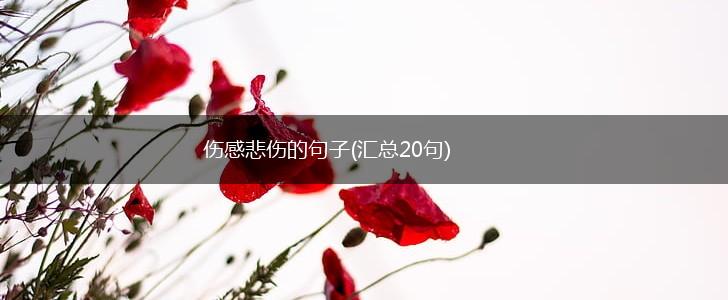 伤感悲伤的句子(汇总20句),第1张