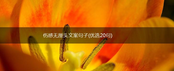 伤感无厘头文案句子(优选20句),第1张