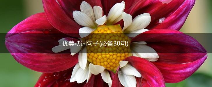 优美动词句子(必备30句),第1张