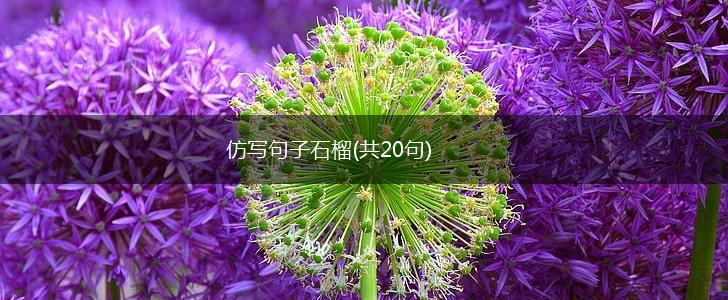 仿写句子石榴(共20句),第1张