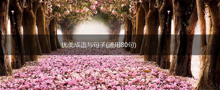 优美成语与句子(通用80句),第1张