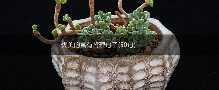 优美的富有哲理句子(50句),第1张