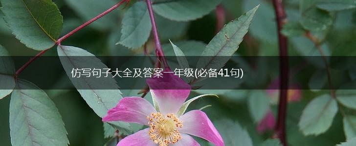 仿写句子大全及答案一年级(必备41句),第1张