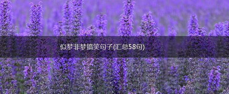 似梦非梦搞笑句子(汇总58句),第1张