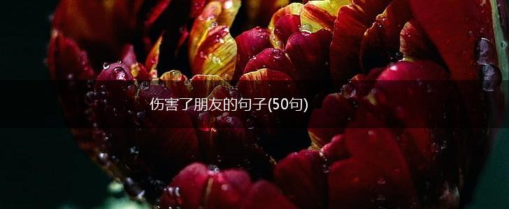 伤害了朋友的句子(50句),第1张