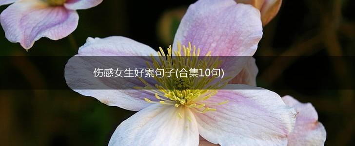 伤感女生好累句子(合集10句),第1张