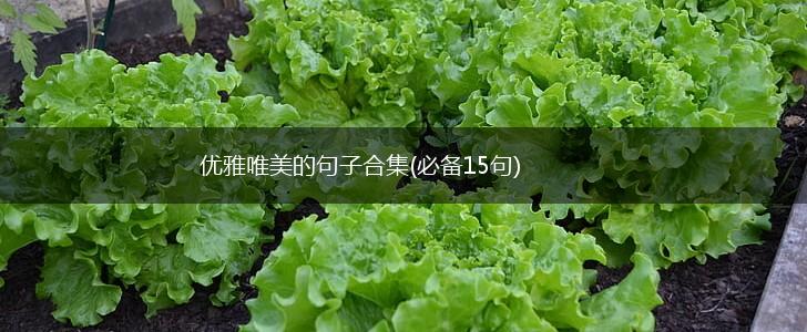 优雅唯美的句子合集(必备15句),第1张
