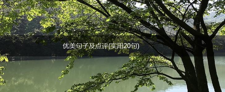 优美句子及点评(实用20句),第1张