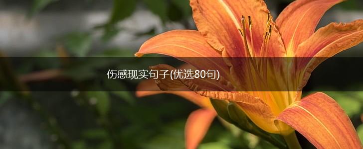 伤感现实句子(优选80句),第1张