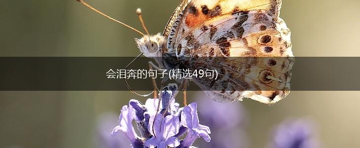 会泪奔的句子(精选49句),第1张