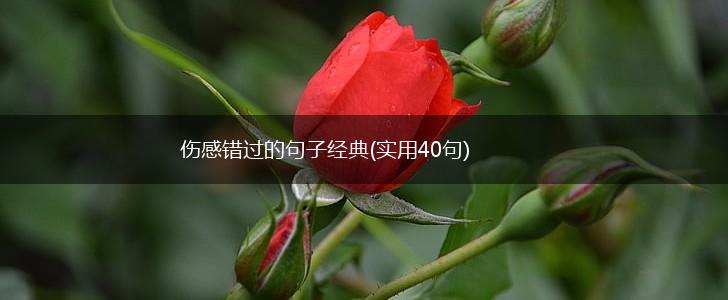 伤感错过的句子经典(实用40句),第1张