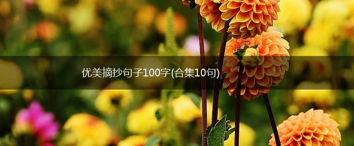 优美摘抄句子100字(合集10句),第1张