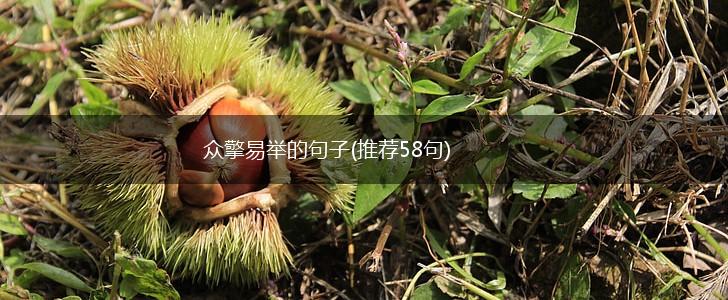 众擎易举的句子(推荐58句),第1张